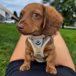 benny boo - @bennyboothedoxie - Instagram