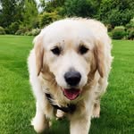 Benny-Boo - @benny_boo_thebestboy - Instagram