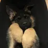Bennyboo - @bennyboothegsd - TikTok