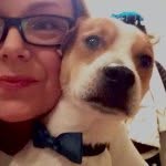 @bennyboo_thedog - Instagram