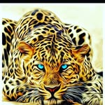 benny Boss - @binny_boss_1 - Instagram