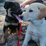 benny&boss - @bennyboss07 - Instagram