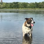 Ben - @benny__boston - Instagram