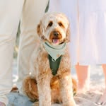 Benny Boy💚 - @bennyinboston - Instagram