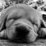 Benny Bowen - Facebook