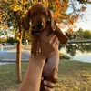 Benny - @bennyboydoxie - TikTok
