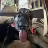 bennyboyd5826 - @bennyboyd5826 - TikTok
