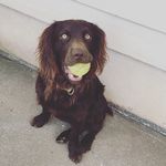 Benjamin Smith - @bennytheboykin - Instagram