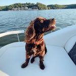 BENNY - @benny.boykin - Instagram
