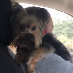 Benny Bragg - @bennybragg2015 - Instagram