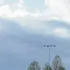 Benny Brasher - @benny.brasher - TikTok