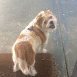 _benny_brittain_ - @benny_brittain_ - Instagram