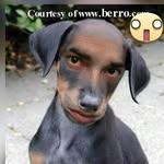 Benny Torres Cabrera - @bennycabreraelniche - Instagram