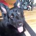 Benny Cameron - Facebook