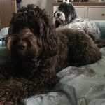 Aston And Benny Cummins - @cumminsdonna7 - Instagram