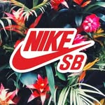 Benny Dodge - @btrian34 - Instagram
