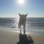 Benny Hansen - @benny.hansen.35 - Instagram