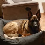 Benny Hansen - @benny.hansen.940641 - Instagram