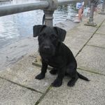 Benny Harris - @bennypatterdale - Instagram