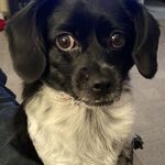 Benny Harris - @bennyharris3340 - Instagram