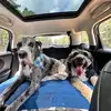 Benny & Junior - @bennyandjunior - TikTok