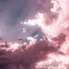 benny - @benny.kim - TikTok