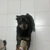 @Bennyy.Kim - @bennykimm - TikTok