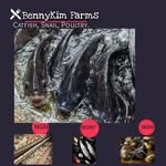 BK Farms - @bennykim_farms - Instagram