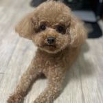이베니 - @benny____love - Instagram