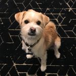 Benny - @bennylove100 - Instagram