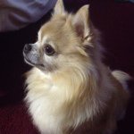 @benny_love - Instagram