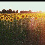 bennylove - @_benny.love_ - Instagram