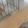 bennymoore0 - @bennymoore0 - TikTok
