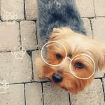 Bennymoore - @bennymoore75 - Instagram