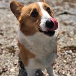 Olivia McFarland - @benny.ramos.549436 - Instagram