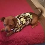 Benito Rosado - @bennyrosado5649 - Instagram