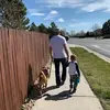 Benny - @bennysheafor - TikTok