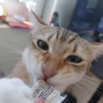 Benoît Brisson - @simplementben - Instagram
