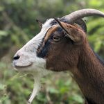 paré benoit - @parebenoit3 - Instagram