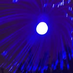Benson  Chang - @bensonchang64 - Instagram