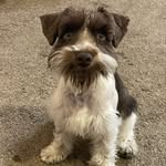 Benson Bee Freeman - @bensonbfree - Instagram