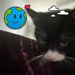 Benson Green - Facebook
