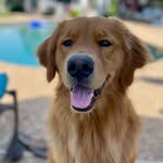Benson - @greenmountainbenson - Instagram