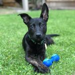Benson Greene Hayes-Treherne - @benson_greene - Instagram