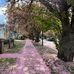 Benson Gu - Facebook