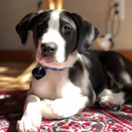 Benson - @b.benson.hall - Instagram