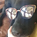 Benson Hall - @benson.hallxo - Instagram