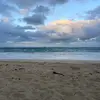 HalleBenson7 - @hallebenson7 - TikTok