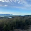 Bensonhamberlin - @benson37473 - TikTok