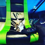 Benson Hart - @deadbunnyttv - Instagram